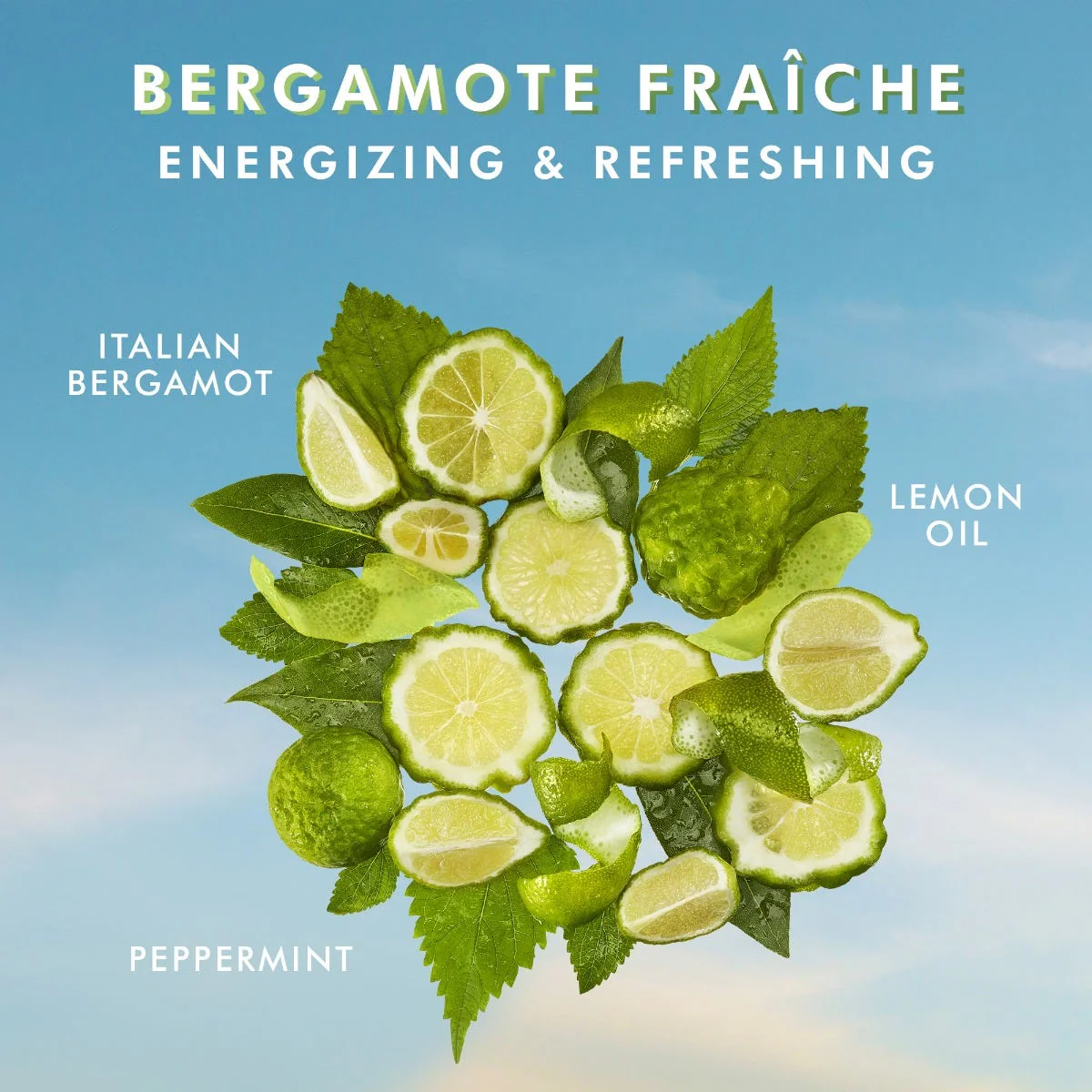 Handtvätt Bergamote Fraiche - Image 4