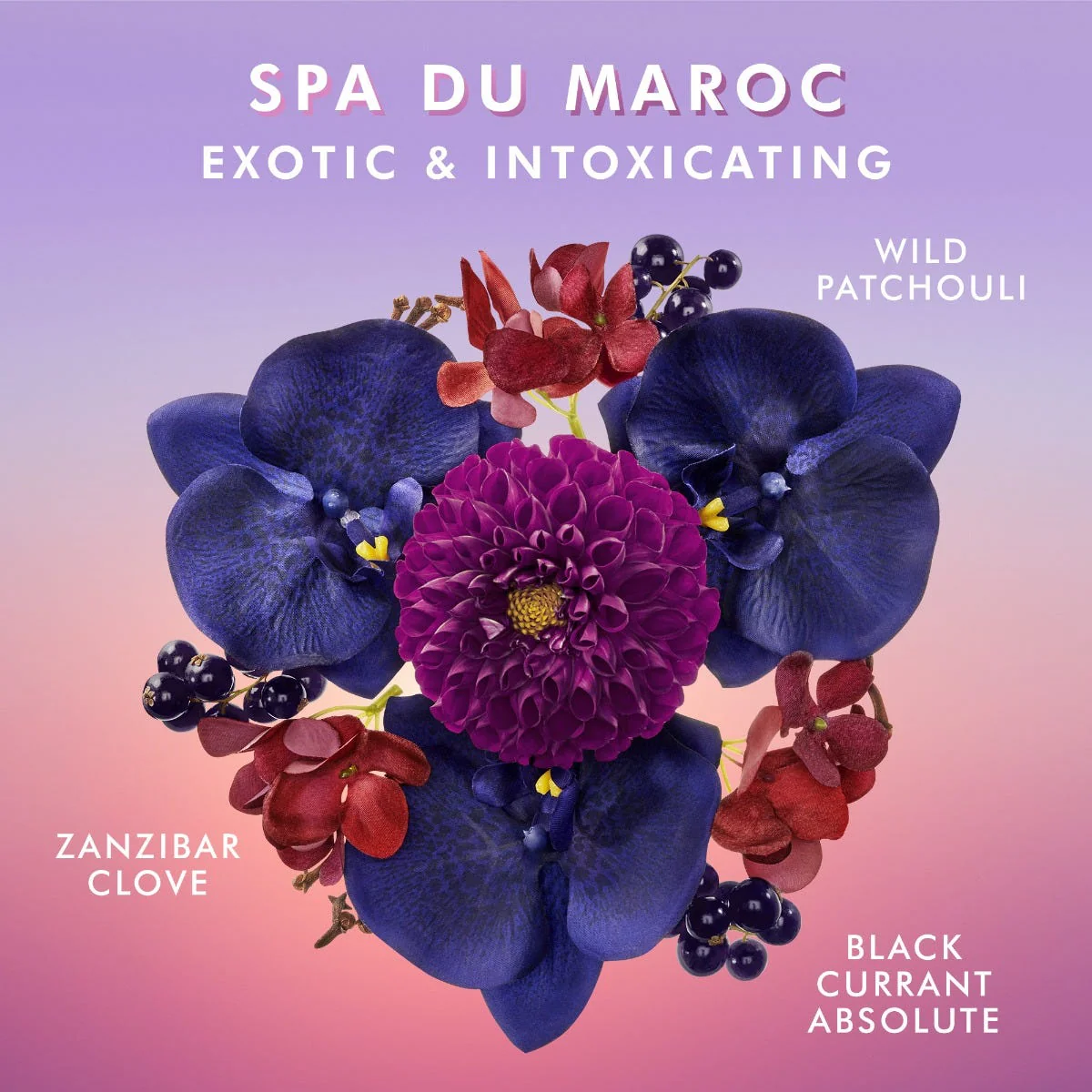 HandtvÀtt Spa Du Maroc - Image 4