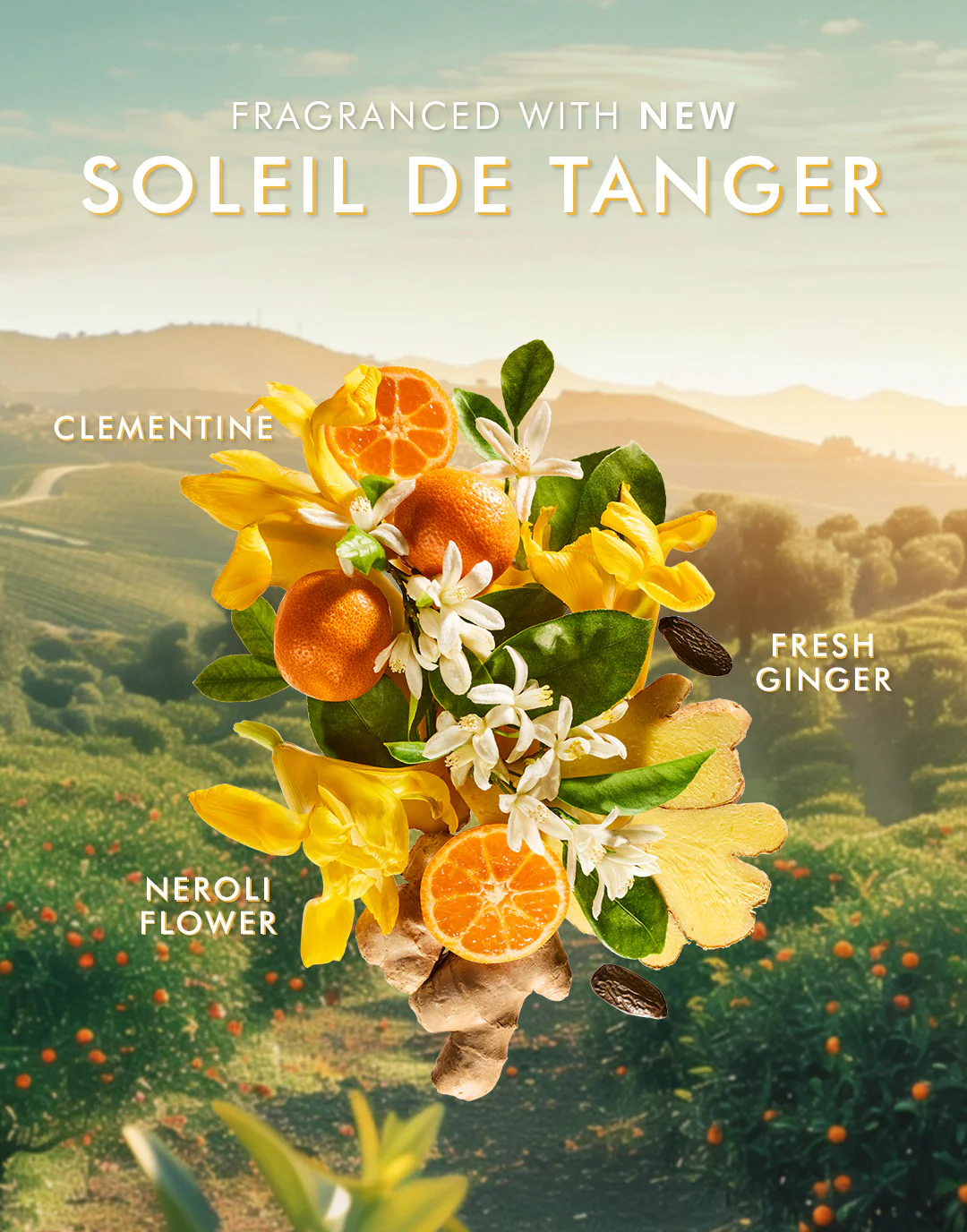 Duschgel Soleil de Tanger - Image 5